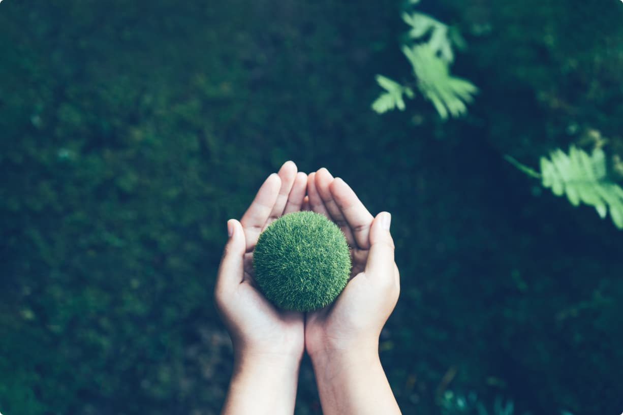 Circular Economy: Nachhaltigkeit bei thermobiehl